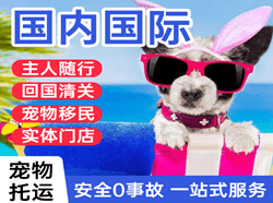 天吉泰航空邮寄国际宠物托运 【国